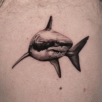 Shark-Tattoo-meaning